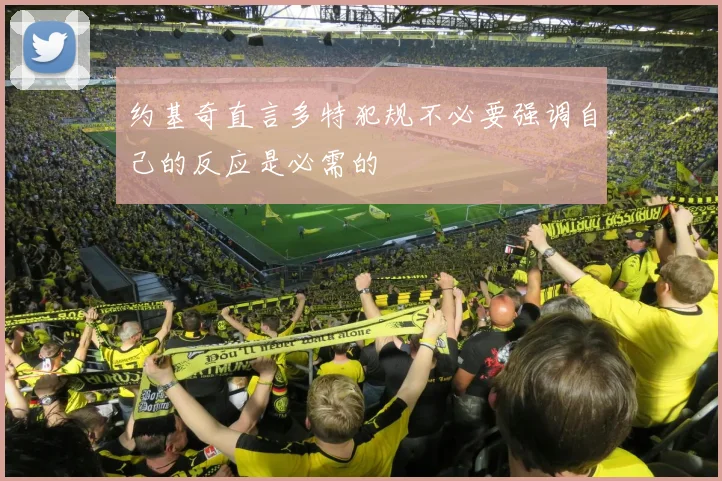 约基奇直言多特犯规不必要强调自己的反应是必需的